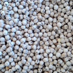 Beyaz Leblebi (Köy)