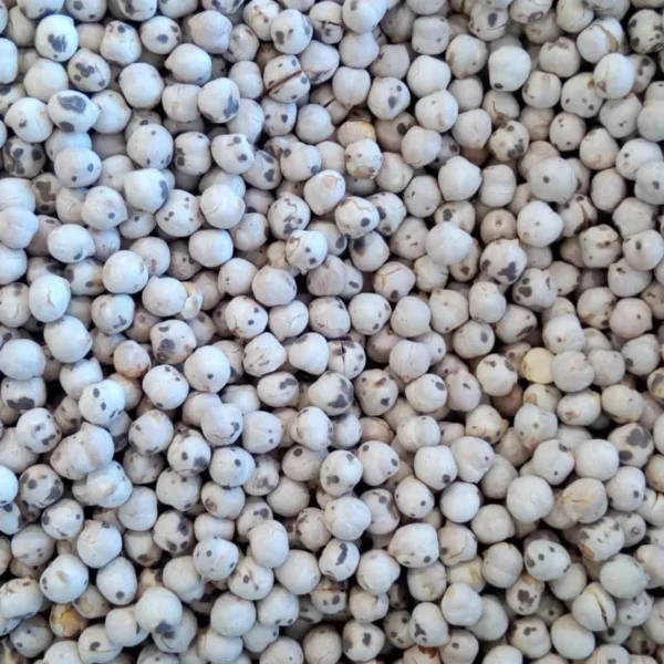 Beyaz Leblebi (Köy)