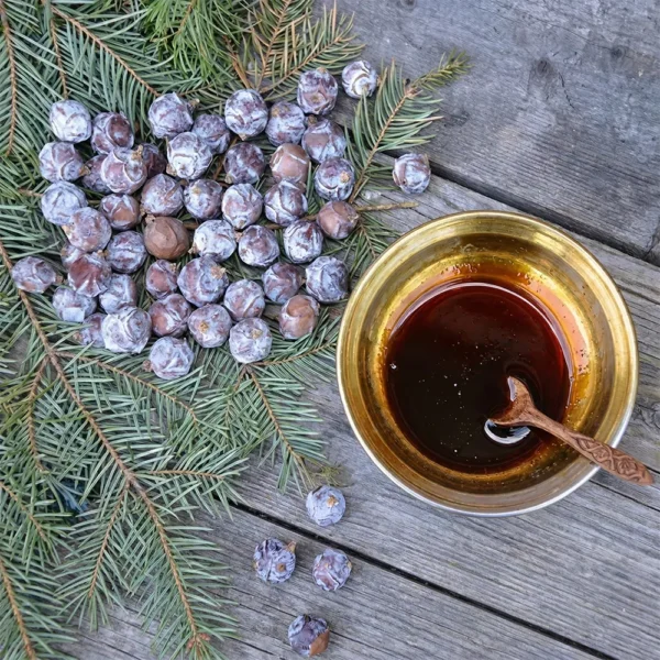 Doğal Andız Pekmezi