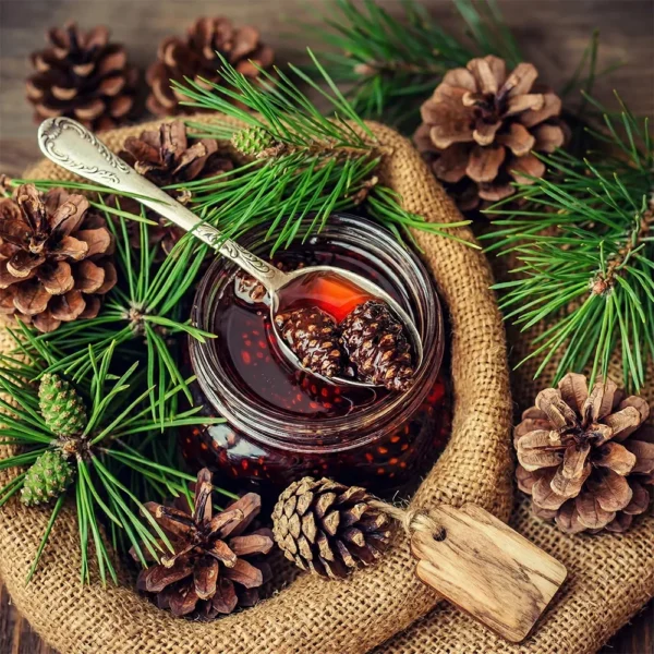 Çam Kozalak Pekmezi